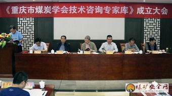 重慶煤炭學會聘請80名技術咨詢專家，為行業高質量發展注入新動能